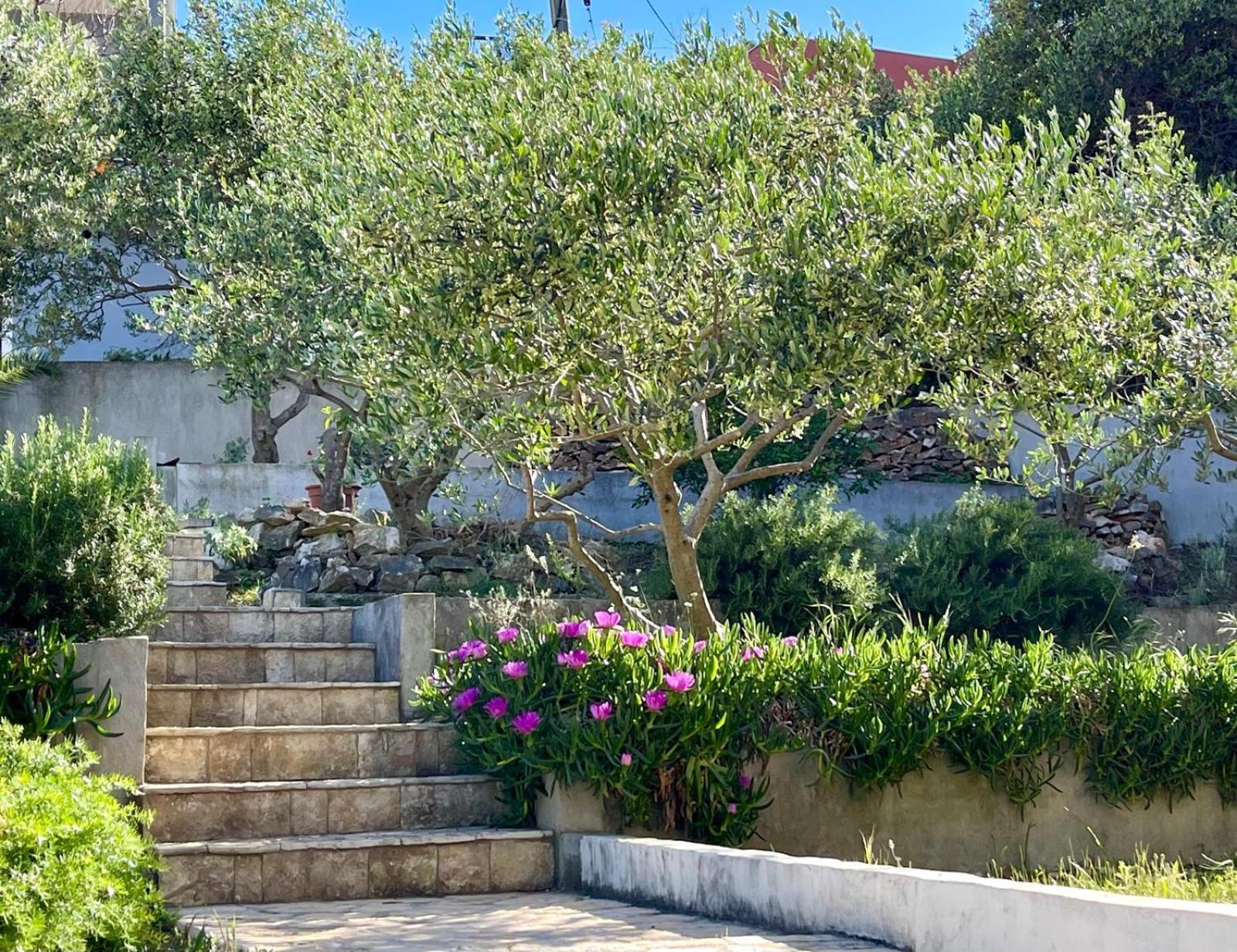 Villa Bua - Beautiful Seafront Apartments Trogir Exteriér fotografie